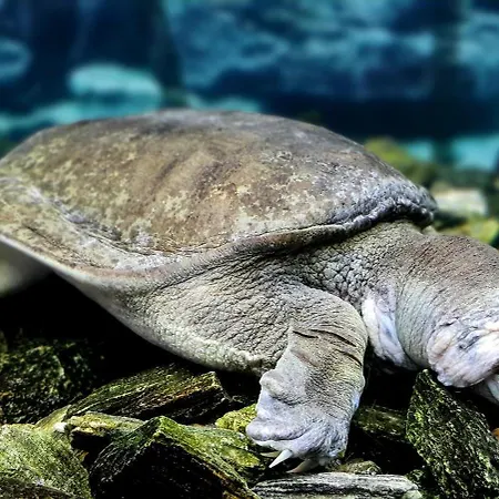 Gospodarstwo agroturystyczne Jurajskie Manowce Niegowa