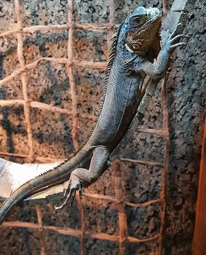 Gospodarstwo agroturystyczne Jurajskie Manowce *